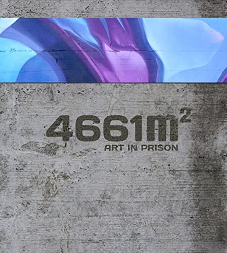 4661 m2: Art in Prison von Niggli
